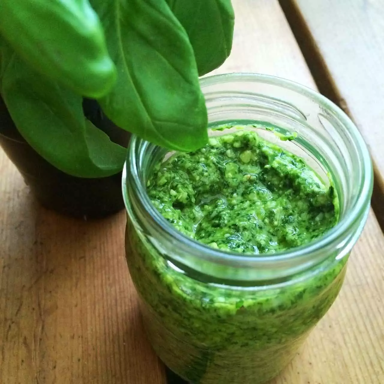 basilikum pesto einfrieren