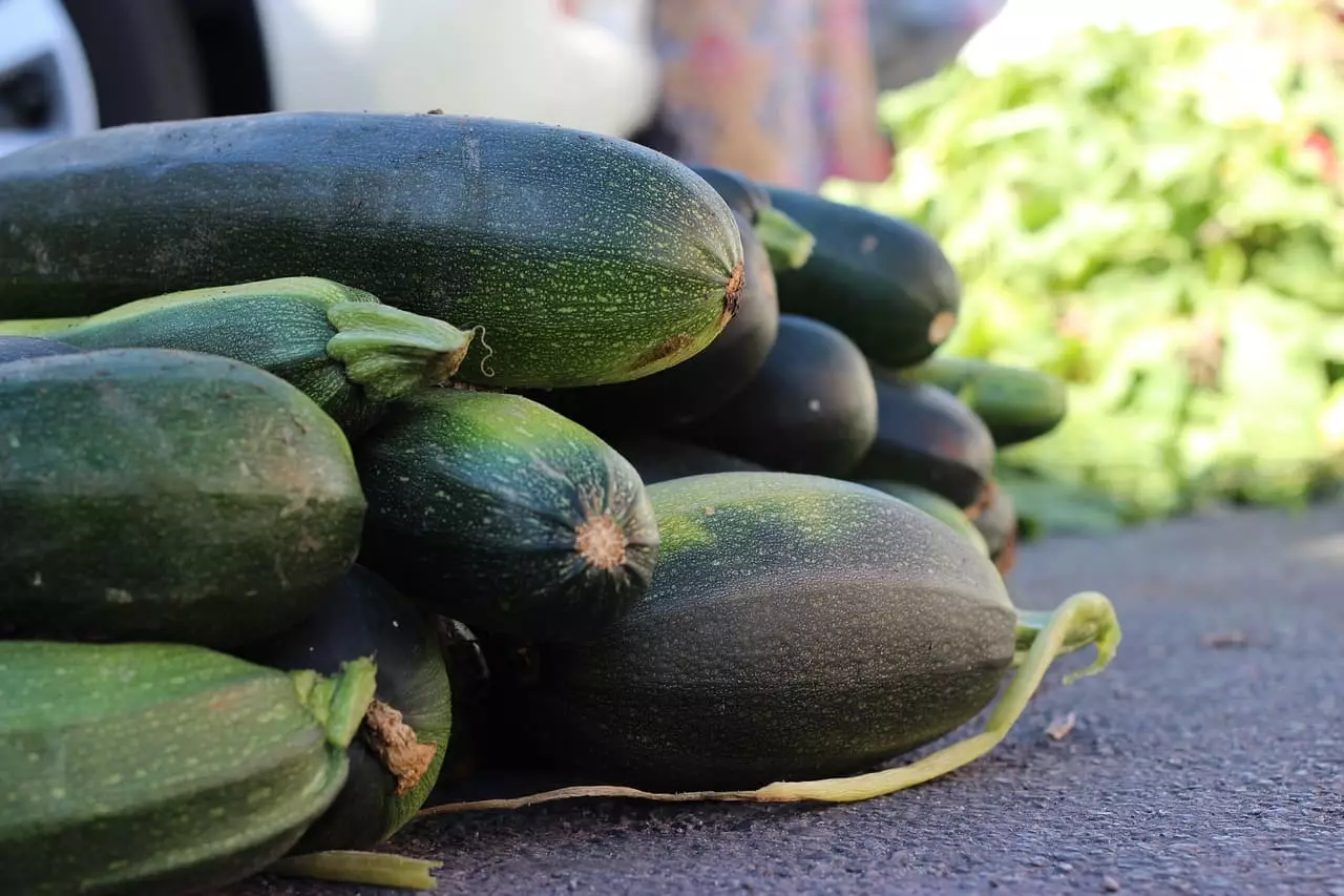 Zucchini bitter